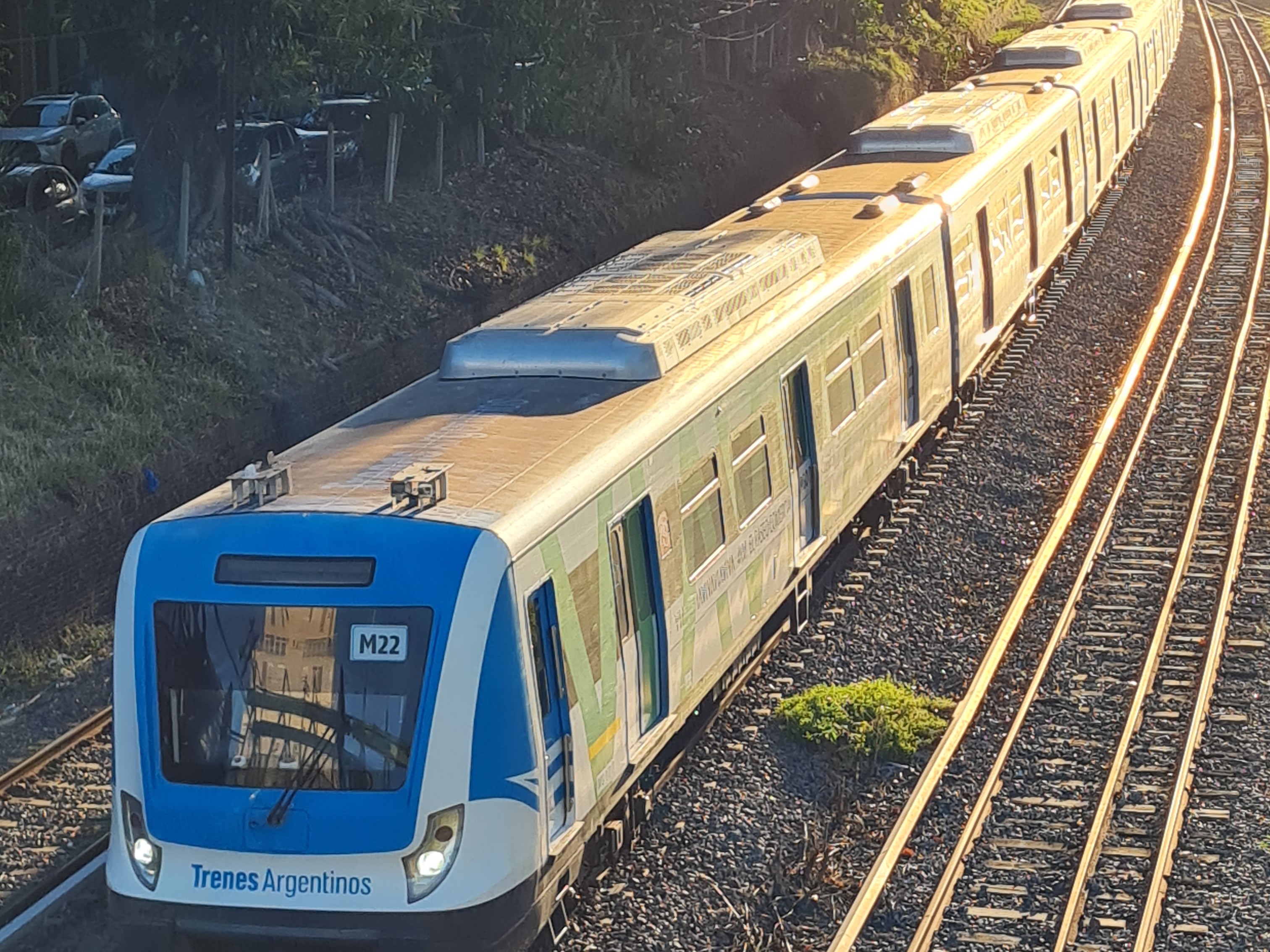 Formación de Trenes Argentinos circulando sobre las vías al atardecer