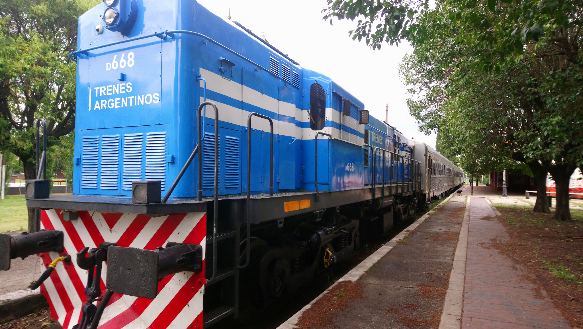 Locomotora azul de Trenes Argentinos con coches de pasajeros en una estación